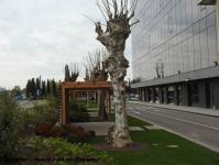 Imagine atasata: Openville - 2017.04.23 - 17.jpg